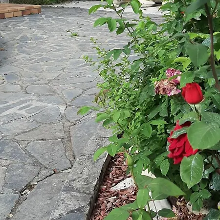 Daire L'enclos Des Lys Aurillac